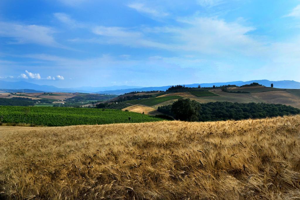 La Canonica San Giovanni dʼAsso Exterior foto